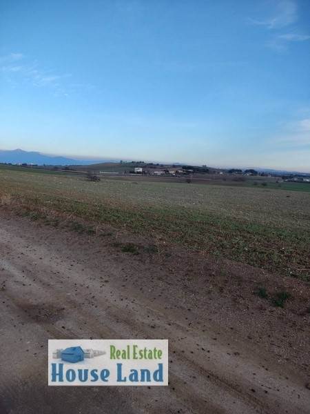 (For Sale) Land Agricultural Land  || Thessaloniki Suburbs/Michaniona - 10.000 Sq.m, 50.000€ 