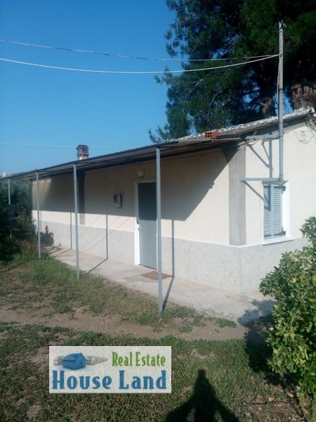 property-img